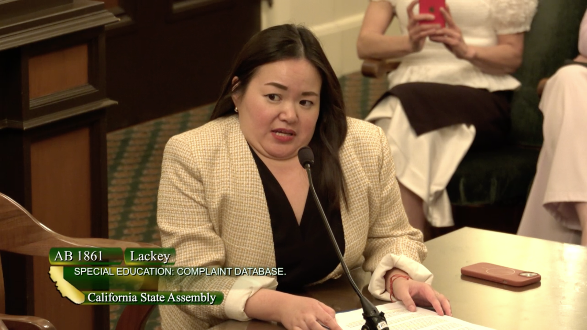 Vivian Wong, YJEC Director, provides testimony in Sacramento